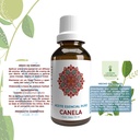 ESENCIA CANELA 15 ML LEMON COCHELLA