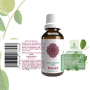 ESENCIA ROSAS 15 ML LEMON COCHELLA